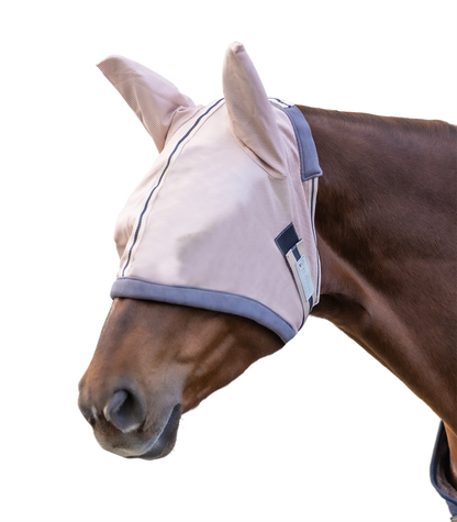 A horse wearing a white fly mask with blue trim. The mask covers the horse's eyes and has ear holes, designed to protect the horse from insects.