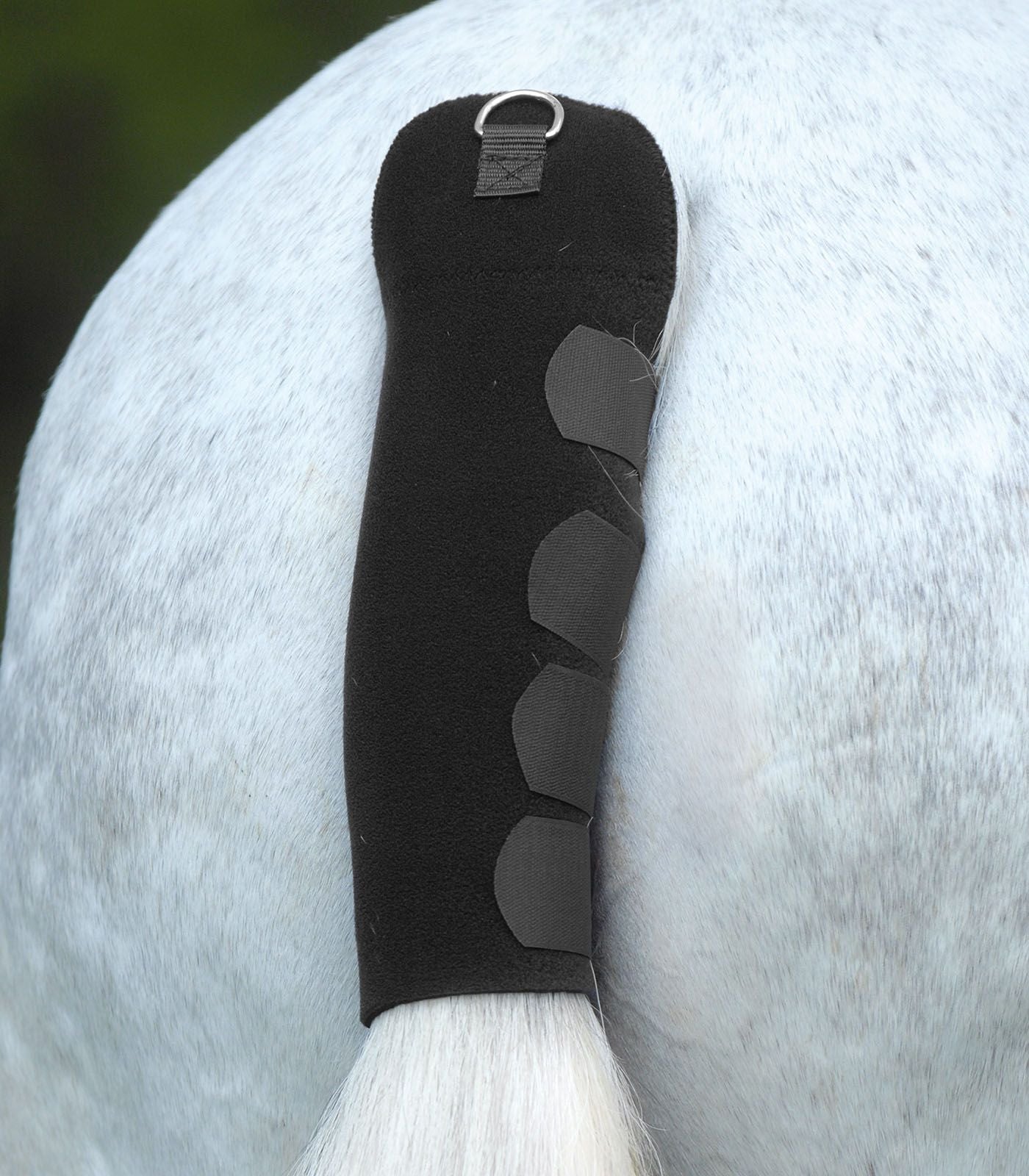 A black tail protection gear for horses, featuring touch tape fasteners and D-Rings, attached to a horse's tail.