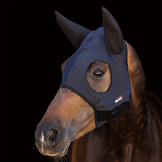 Horse wearing a fly mask on a black background.
A reliable product from Zilco Australia.
Available at Nice equestrian Wukair. Doha. Qatar.