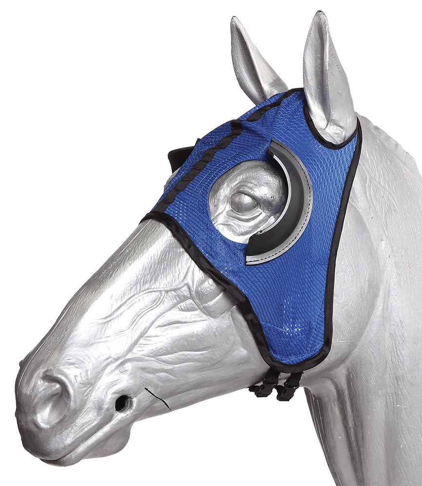 Horse wearing a blue fly mask on a white background.
Zilco Blinkers.
A reliable product from Zilco Australia.
Available at Nice equestrian Wukair. Doha. Qatar.