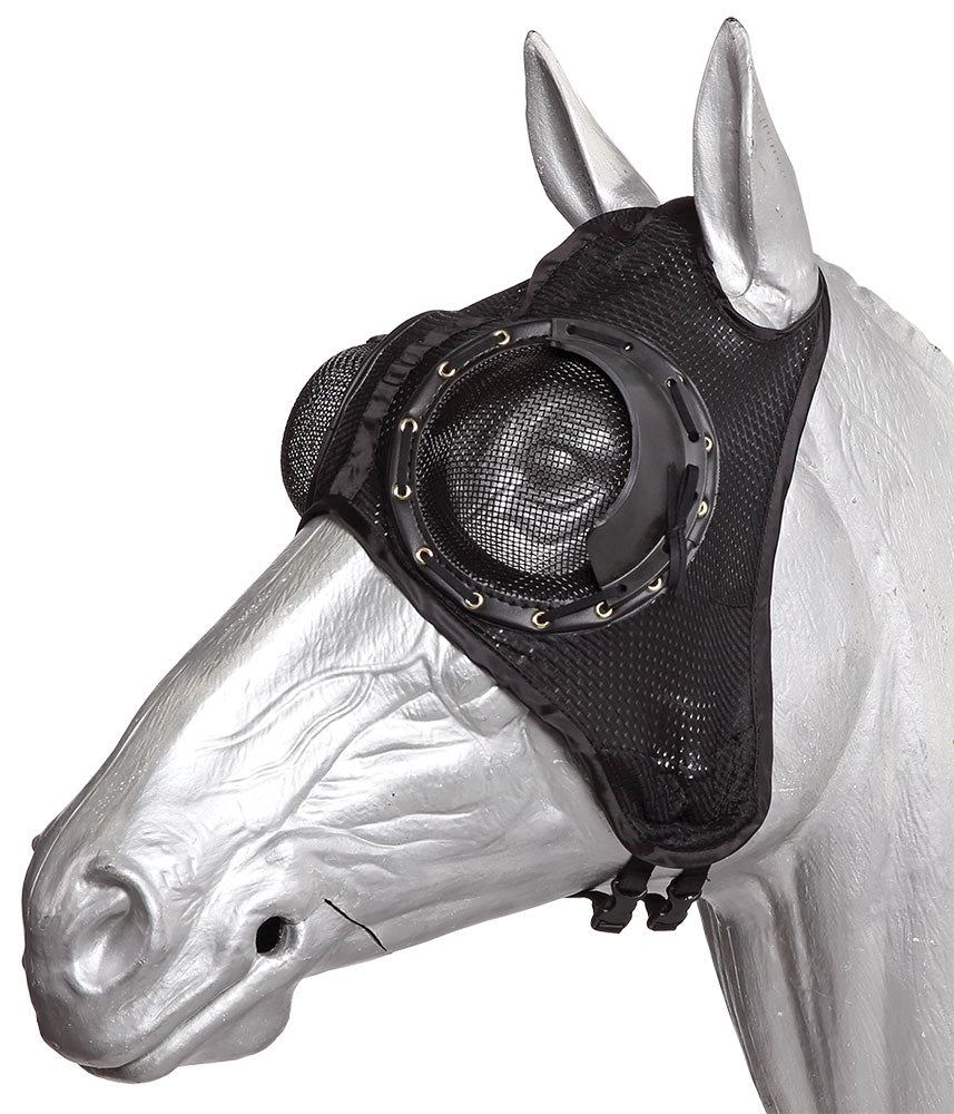 Horse head with a black fly mask on a white background.
A reliable product from Zilco Australia.
Available at Nice equestrian Wukair. Doha. Qatar.