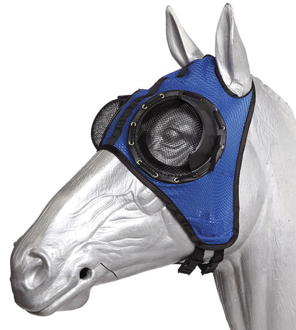 Horse wearing a blue fly mask on a white background.
A reliable product from Zilco Australia.
Available at Nice equestrian Wukair. Doha. Qatar.
