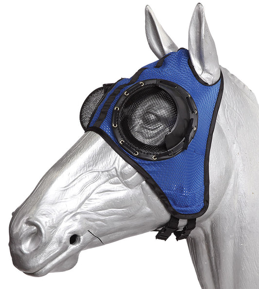 Horse wearing a blue fly mask on a white background.
A reliable product from Zilco Australia.
Available at Nice equestrian Wukair. Doha. Qatar.