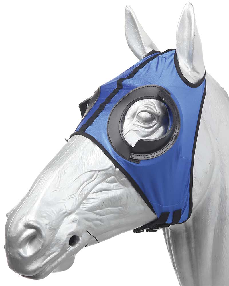 Horse wearing a blue fly mask with a black strap on a white background.
Zilco Blinkers.
A reliable product from Zilco Australia.
Available at Nice equestrian Wukair. Doha. Qatar.