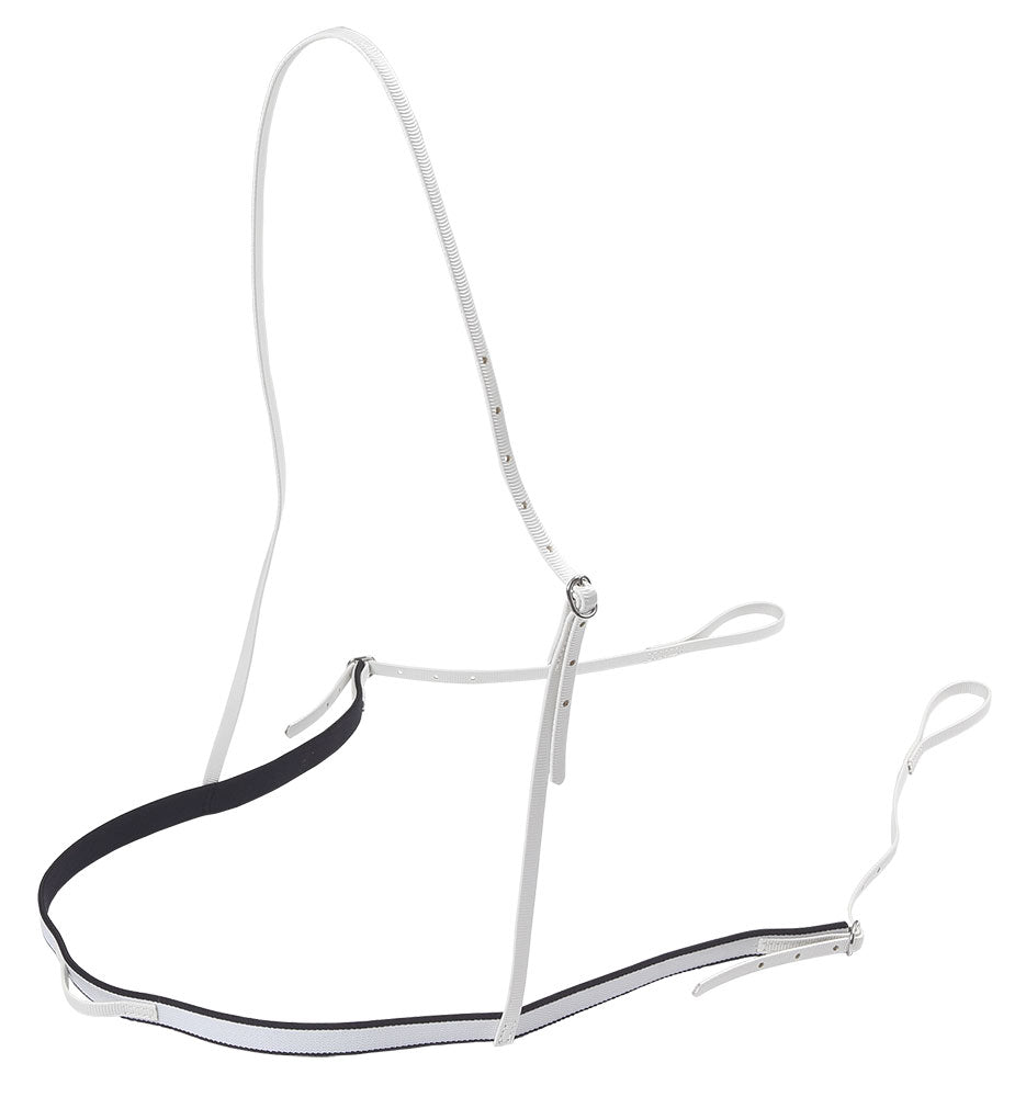 Silver equestrian bridle with black strap on a white background.
A reliable product from Zilco Australia.
Available at Nice equestrian Wukair. Doha. Qatar.