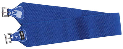 Blue girth strap with silver buckles on a white background.

A reliable product from Zilco Australia.
Available at Nice equestrian Wukair. Doha. Qatar.