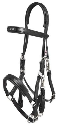 Zilco Black horse bridle with silver hardware on a white background.
Zilco Australia. Arab Race Bridal. Available at Nice Equestrian Wukair Doha Qatar.