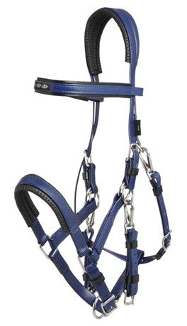 Zilco Arab Blue horse bridle with silver hardware on a white background.
Zilco Australia. Arab Race Bridal. Available at Nice Equestrian Wukair Doha Qatar.