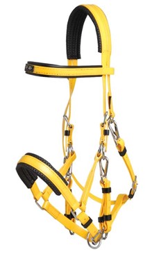 Zilco Arab Yellow and black horse bridle on a white background.
Zilco Australia. Arab Race Bridal. Available at Nice Equestrian Wukair Doha Qatar.