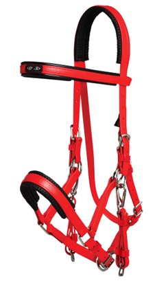 Zilco Arab Red horse bridle with black straps on a white background.
Zilco Australia. Arab Race Bridal. Available at Nice Equestrian Wukair Doha Qatar.