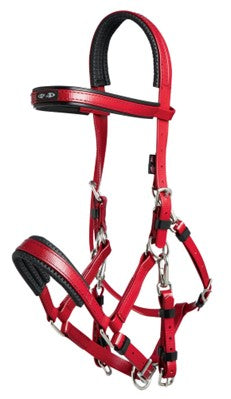 Zilco Arab Red and black horse bridle on a white background.
Zilco Australia. Arab Race Bridal. Available at Nice Equestrian Wukair Doha Qatar.
