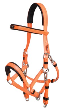 Zilco Arab Orange and black horse bridle on a white background.
Zilco Australia. Arab Race Bridal. Available at Nice Equestrian Wukair Doha Qatar.
