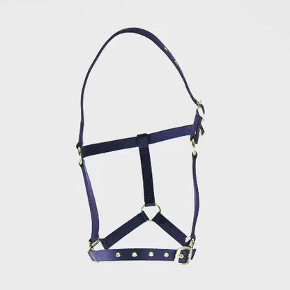 ARMA Adjustable Head Collar - طوق رأس قابل للتعديل ARMA