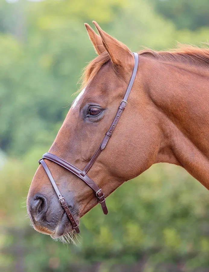 Velociti GARA Flash Noseband - شريط رأس فلاش Velociti GARA Flash