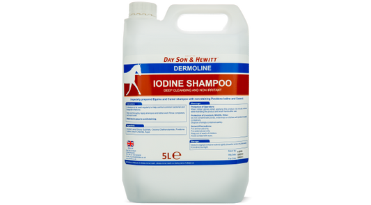 Lillidale Dermoline Iodine Shampoo 5L -  شامبو ديرمولين اليود 5 لتر
