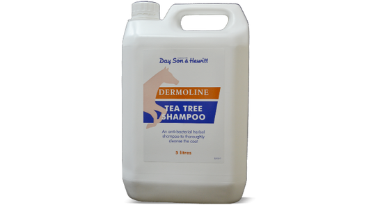 Lillidale Dermoline Tea Tree Shampoo 5L - شامبو شجرة الشاي ديرمولين 5 لتر