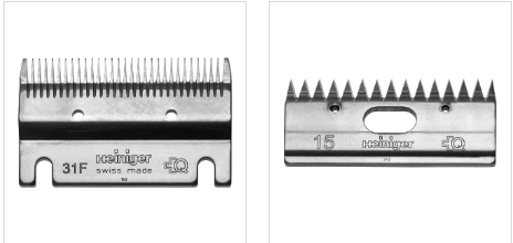 Two silver-colored metal shearing blade sets, marked with the brand Heiniger and model numbers 31F and 15, used for shearing horses.
Available at Nice Equestrian Wukair Doha Qatar.