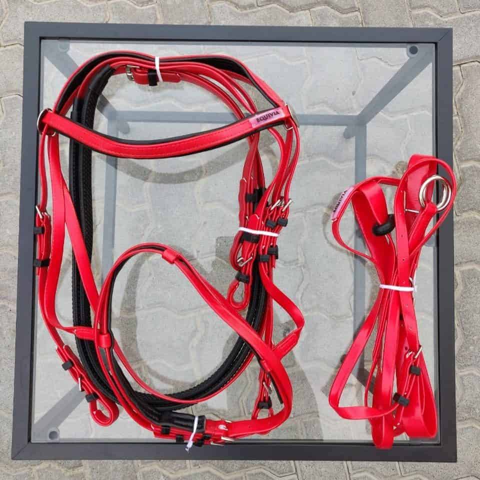 A red plastic bridle set by Equivia displayed on a grey background, including the headstall, reins, and martingale.
Horze. Equivia.
Available at Nice Equestrian Wukair Doha Qatar