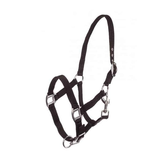 Adjustable black horse halter with metal buckles and hardware.
Horze.
Available at Nice Equestrian Wukair Doha Qatar