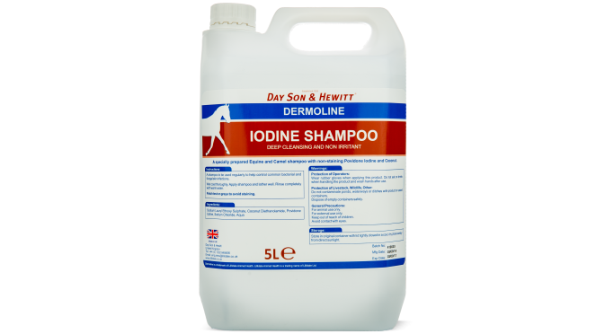 A 5-liter bottle of Lilydale Dermoline Iodine Shampoo for horses, with label information including product name and details. Dayson & Hewitt Dermoline from Lilydale UK available with Nice Equestrian Wukair Doha.