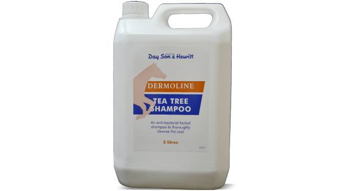 A white plastic container of Lillidale Dermoline Tea Tree Shampoo with product details in English and Arabic.

A 5-liter bottle of Lilydale Dermoline Tea Tree Shampoo for horses, with label information including product name and details. Dayson & Hewitt Dermoline from Lilydale UK available with Nice Equestrian Wukair Doha.
