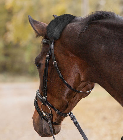 A close-up of a horse wearing a black lambskin noseband sleeve.