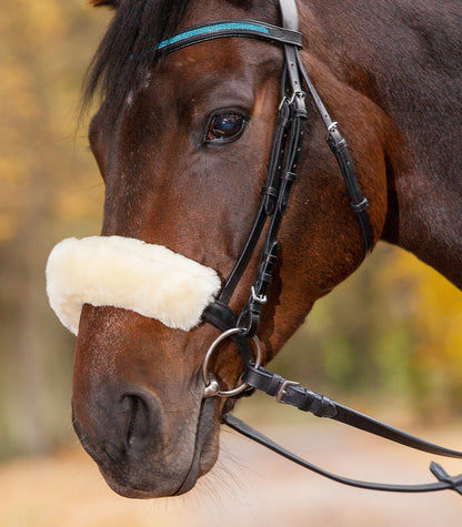 A close-up of a horse wearing a white lambskin noseband sleeve.