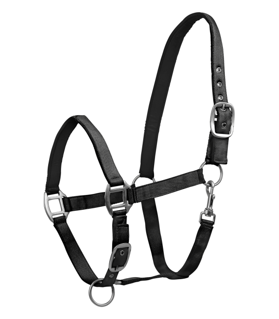 A black satin halter with adjustable straps and solid fittings, designed for horses.