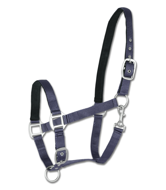 A satin halter with adjustable straps and solid fittings, designed for horses.