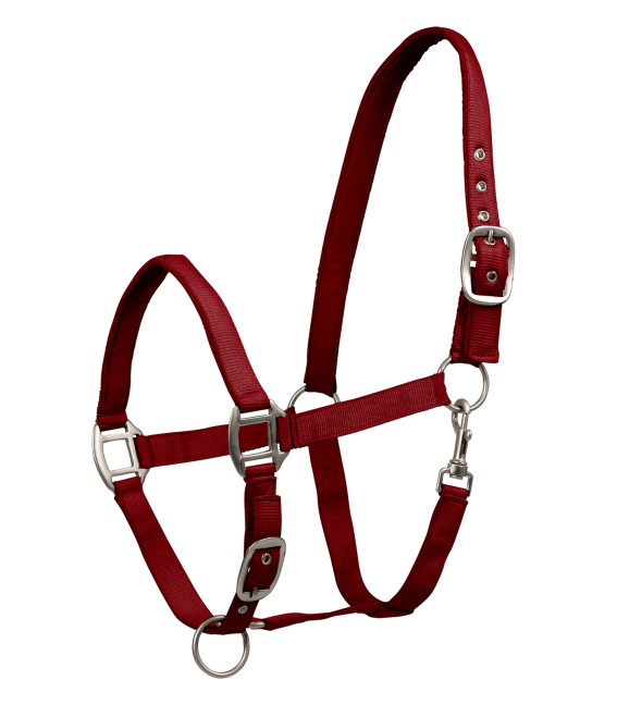 A Bordeaux satin halter with adjustable straps and solid fittings, designed for horses.