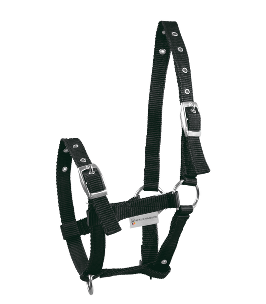 A black foal halter with silver-colored nickel-plated fittings, adjustable at head piece, noseband, and throat lash.