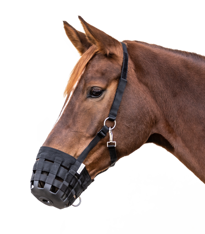 A brown horse wearing a black adjustable grazing muzzle.