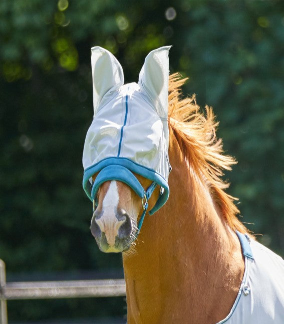 A horse wearing a white fly mask with blue trim. The mask covers the horse's eyes and has ear holes, designed to protect the horse from insects.