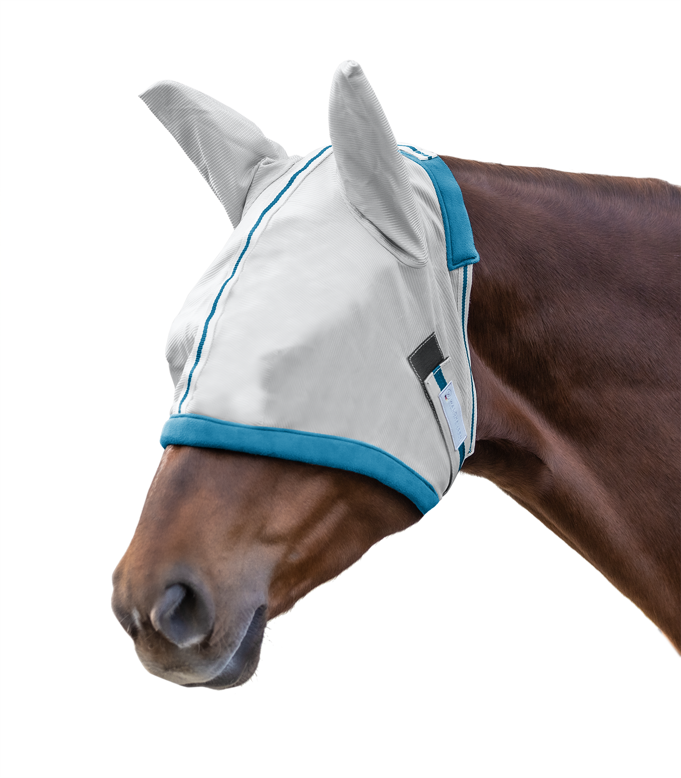 A horse wearing a white fly mask with blue trim. The mask covers the horse's eyes and has ear holes, designed to protect the horse from insects.