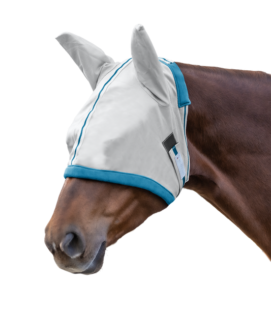 A horse wearing a white fly mask with blue trim. The mask covers the horse's eyes and has ear holes, designed to protect the horse from insects.