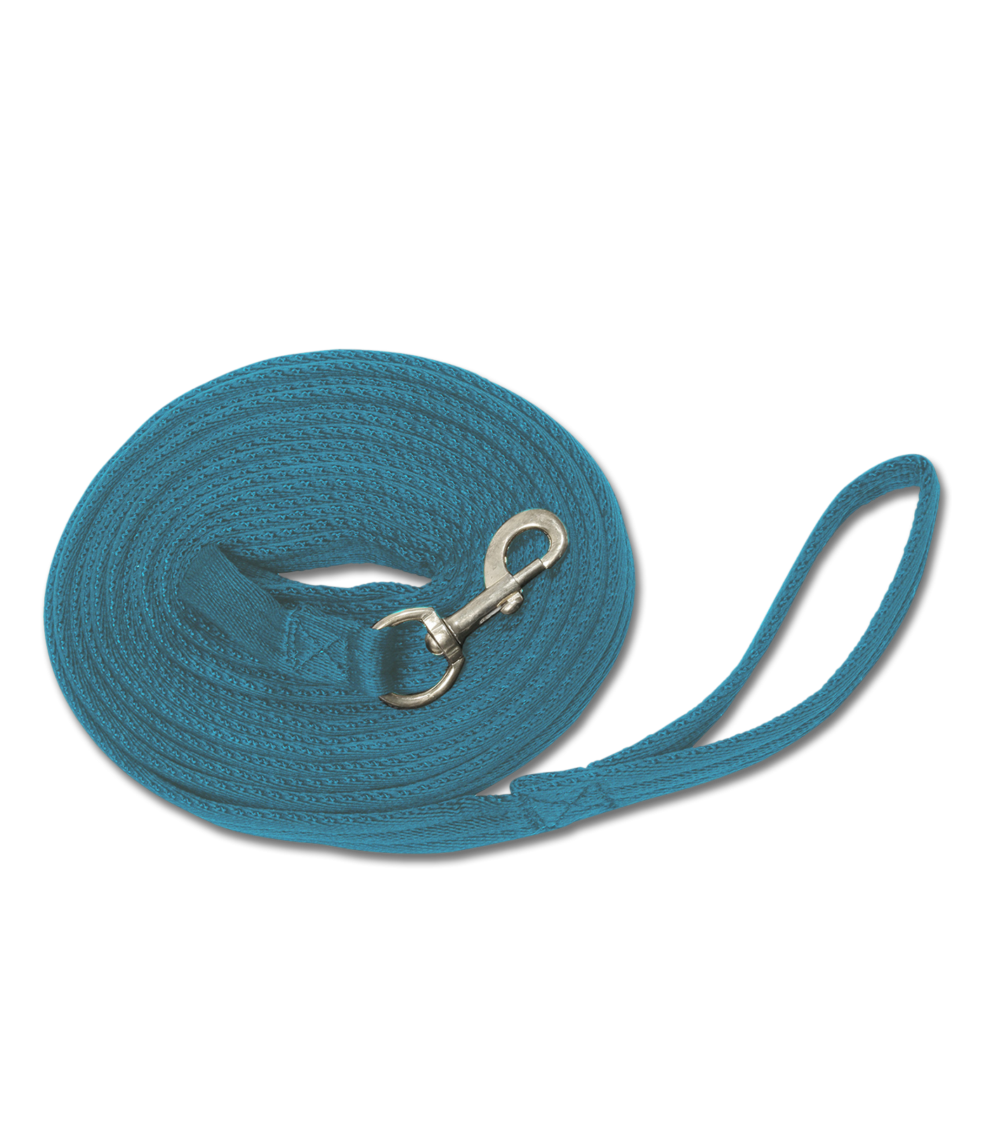A blue lead rope with a swivel carabiner.
