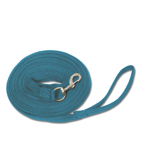 A blue lead rope with a swivel carabiner.